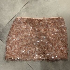 Zara Rose-Gold Sequin Mini Skirt